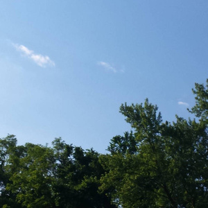 亚洲与欧洲精品刺激
